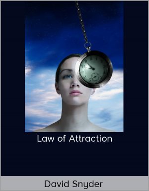 David Snyder – Law of Attraction