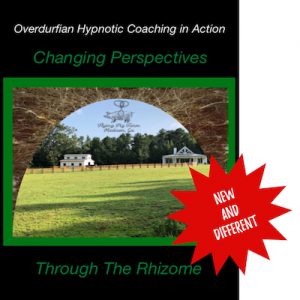 John Overdurf – Changing Perspectives Through The Rhizome