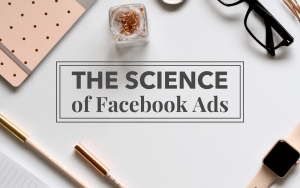 Mojca Zove – The Science Of Facebook Ads – Professional