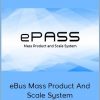 Roger And Barry – eBus Mass Product And Scale System