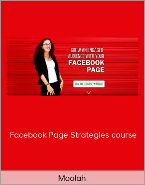 Moolah - Facebook Page Strategies course