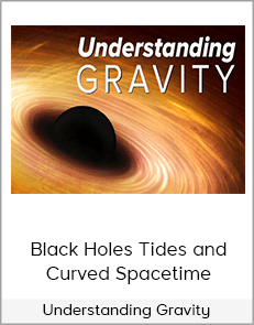 Black Holes Tides and Curved Spacetime - Understanding Gravity