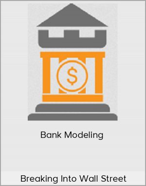 Breaking Into Wall Street - Bank Modeling