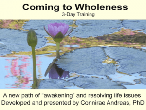  Connirae Andreas – 3-day Wholeness Training