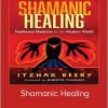 Itzhak Beery – Shamanic Healing