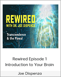 Joe Dispenza - Rewired Episode 1: Introduction to Your Brain