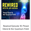 Joe Dispenza - Rewired Episode 10: Pineal Gland & the Quantum Field