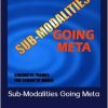 L. Michael Hall And Bob Bodenhamer - Sub-Modalities Going Meta