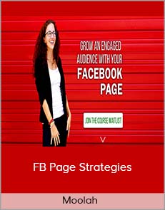 Moolah - FB Page Strategies