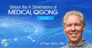 Roger Jahnke - 4 Dimensions Of Medical Qigong