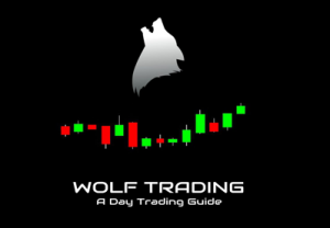  Roland Wolf – Wolf Trading A Day Trading Guide