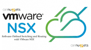 Software-Defined Switching and Routing with VMware NSX