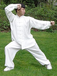 Ma Hong - Chen Style Tai Chi The Secret Of Jin Release (2009)