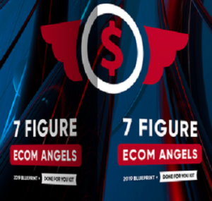7 Figure Ecom Angels
