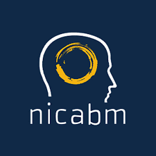 NICABM - Work With A Client's Resistance