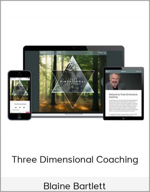 Blaine Bartlett - Three Dimensional Coaching