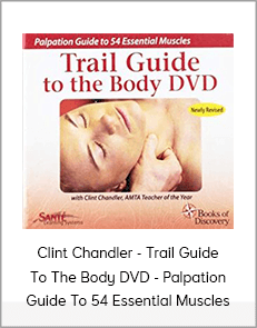Clint Chandler - Trail Guide To The Body DVD - Palpation Guide To 54 Essential Muscles