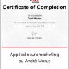 Conversionxl Applied Neuromarketing By Andr Morys