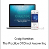 Craig Hamilton - The Practice Of Direct Awakening