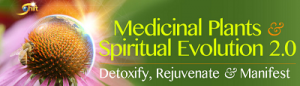 David Crow - Medicinal Plants & Spiritual Evolution 2.0