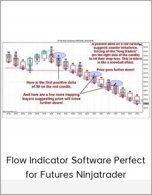 Flow Indicator Software Perfect For Futures Ninjatrader