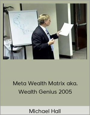 Michael Hall - Meta Wealth Matrix Aka. Wealth Genius 2005