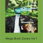 Michael Hutchison - Mega Brain Zones Vol 1