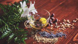 Michael Moore - Constitutional Herbalism & Therapeutics Course: Lesson 02 of 12