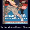 Moni Aizik - Survive Vicious Ground Attacks