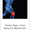 Paul Zaichik - Elastic Steel - Knee Injury For Martial Arts
