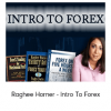 Raghee Horner - Intro To Forex