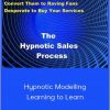 Rintu Basu - Hypnotic Modelling: Learning To Learn