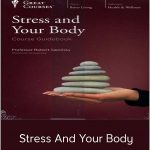 Stress And Your Body