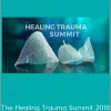 The Healing Trauma Summit 2018