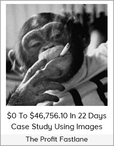 The Profit Fastlane - $0 To $46,756.10 in 22 days Case Study Using Images