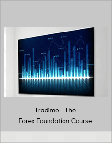 Tradimo - The Forex Foundation Course