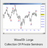 Wave59- Large Collection Of Private Seminars
