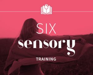 Sonia Choquette - Six Sensory Online Training