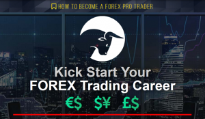 Anmol Singh - Live Traders - How To Become A Forex Pro Trader