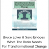 Bruce Ecker & Sara Bridges - What The Brain Needs For Transformational Change