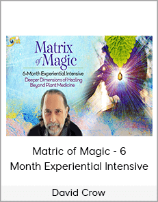 David Crow - Matric of Magic - 6 - Month Experiential Intensive