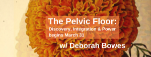 Deborah Bowes - Feldenkrais Method - Pelvic Health and Awareness