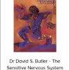 Dr David S. Butler - The Sensitive Nervous System