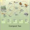 Dr. Elaine Ingham - Compost Tea