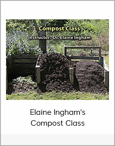 Elaine Ingham's Compost Class