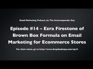 Ezra Firestone - The Brown Box Formula + The insider's guide to building an Online Store