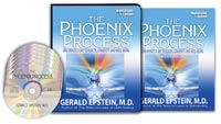 Gerald Epstein - The Phoenix Process