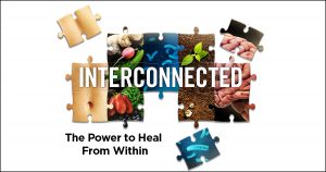 Heal From Within - Interconnected