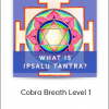 Ipsalu Tantra - Cobra Breath Level 1