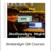 Jimdandym Ql4 Courses